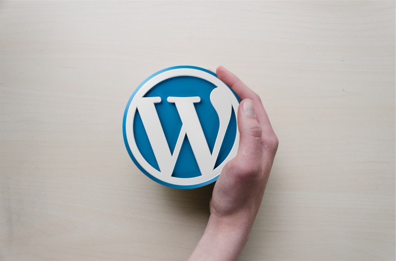 human body part, design, holding, communication, blue, single object, men, westinghouse, wordpress, indoors, one person, background image, sign, hand, business