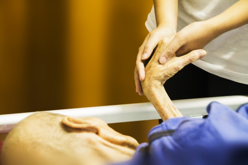 pets, healthcare and medicine, lying, elder care, human leg, aged, person, domestic, people, indoors, hand, helping, human hand, disabled, caring, canine