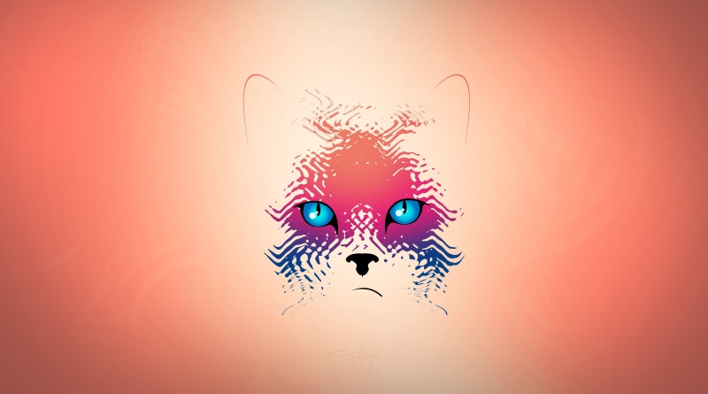 cat, colored background, pink color, healthcare and medicine, vally, representation, nature, 2018, africa, azul, sultan, animal, gato, cores, people, studio shot