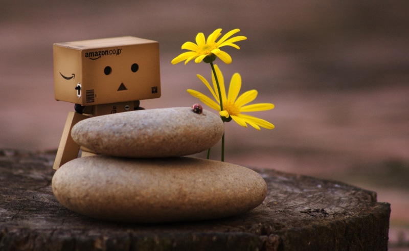 solid, no people, macro, flowers, decoration, focus on foreground, danbo, pebbles, nature, cute, flowering plant, still life, flower, fragility, rock - object