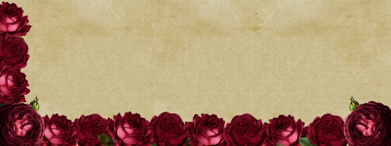 love, background, event, scrapbooking, lines, floral, background image, deco, holiday, studio shot, red, ornate, backgrounds, decoration, flowers, wedding
