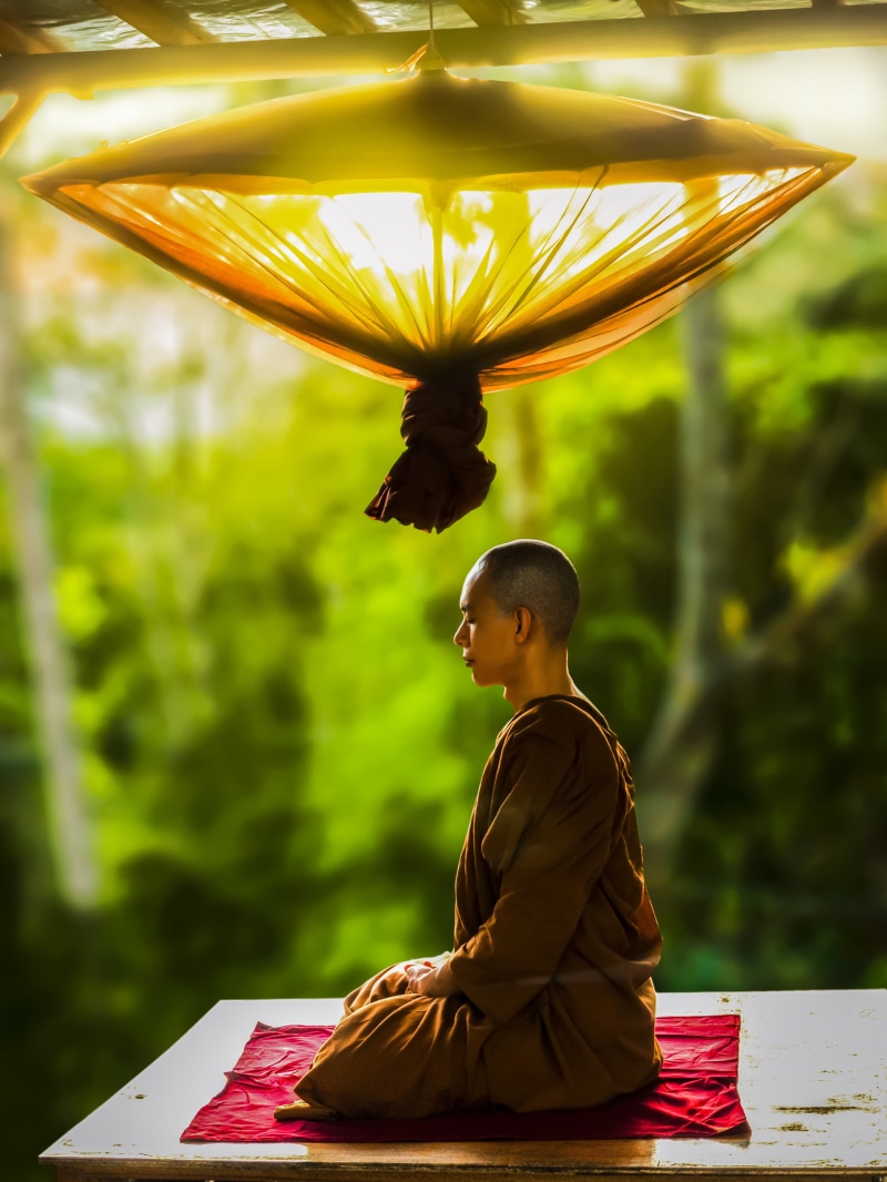 belief, monk, religious, robe, culture, people, clothing, traditional clothing, side view, bhikkhu, day, real people, asian, lifestyles, plant, only women
