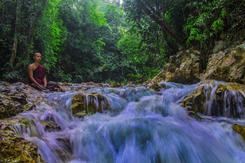 leisure activity, buddhism, flowing, monk, beside, freshness, forest, buddhist, waterfall, growth, water, relax, lifestyles, time, stream - flowing water