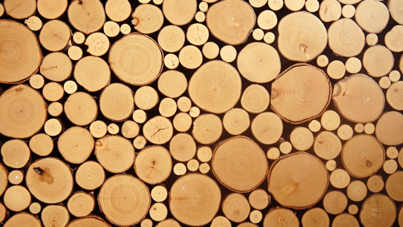 texture, wood, 1080P, nature, simple, circle, simplicity, photography
