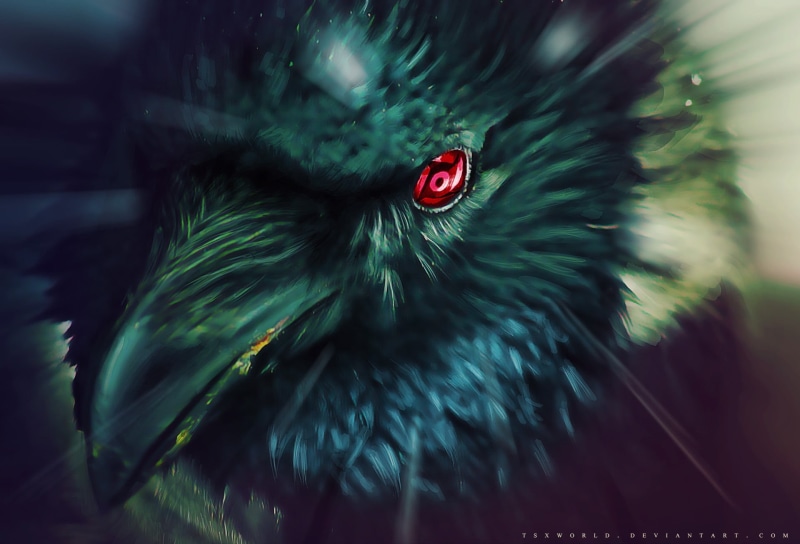 1080P, animal, Uchiha Shisui, animal wildlife, anime, focus on foreground, raven, selective focus, blurred motion, closeup, no people, feather, photography