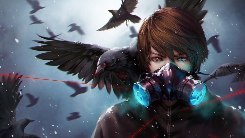 birds, anime, 4K, raven