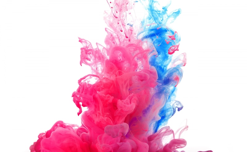 holi 4k pic of pretty, pink color, flowing, multi colored, creativity, nature, motion, splashing, close-up, flowing water, studio shot, blue, mixing, indoors