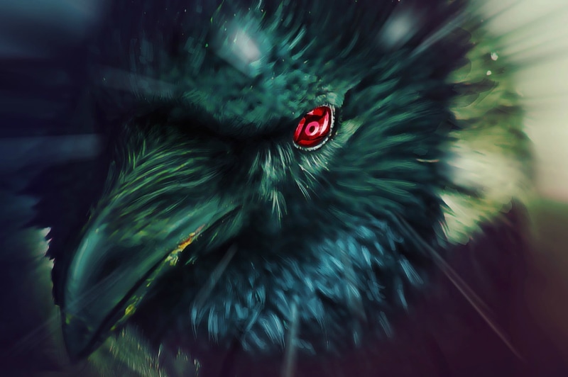 isolated color, animal, red, uchiha, day, digital, crow, backgrounds, green color, outdoors, Raven, nature, animal wildlife, feather, 1080P, close-up