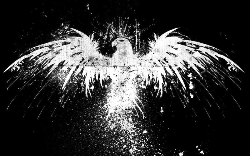 paint splatter, eagle, artwork, 1080P, grunge