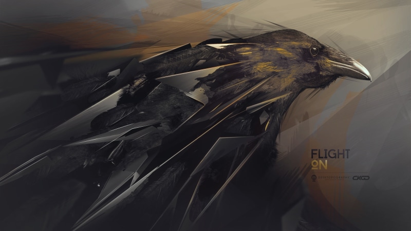 feathers, text, animals, raven, 2K, crow, birds, digital art, flying, Desktopography