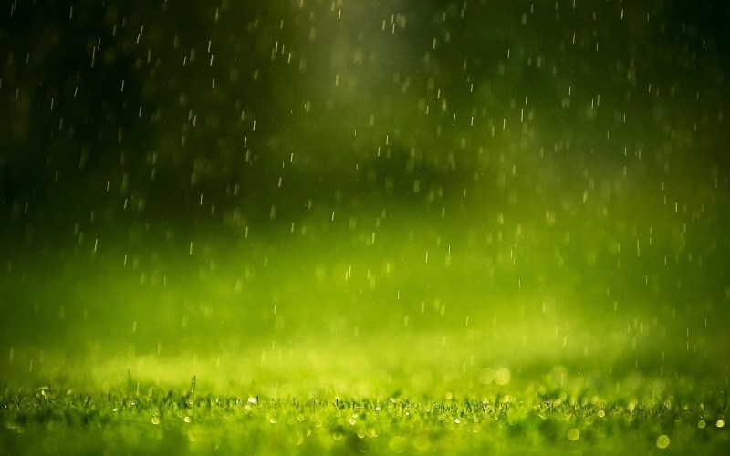 raindrop, field, splay, springtime, land, 1080P, green color, abstract, motion, summer, rain, macro, freshness, water, backgrounds, plant, outdoors, grass