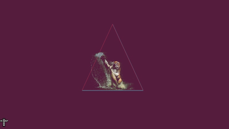 black background, nature, tiger, indoors, studio shot, symbol, vector, shape, backgrounds, illustration, swag, photo, single object, design, triangle, colored background