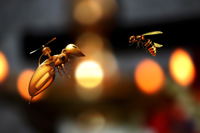 close-up, animal, hive, honeycomb, design, no people, bee, 4K, cute, outdoors, focus on foreground, insect, two, creative, honey, orange color, selective focus