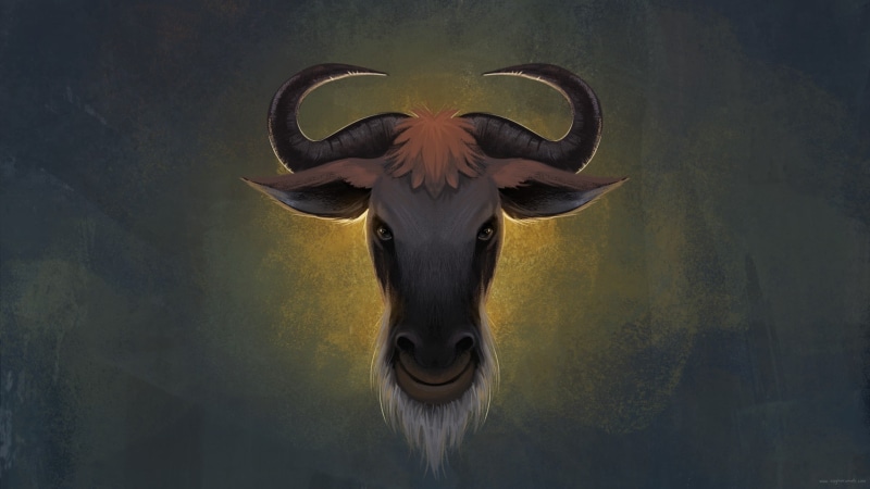 wall - building feature, animal themes, animal, one animal, animal wildlife, animal head, cattle, mammal, domestic, Linux, horned, 1080P, domestic animals