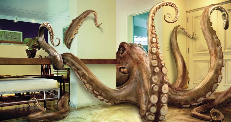 indoors, animal wildlife, antique, octopus, 1080P, animals, taxidermy, absence, one animal, digital art, no people, animal representation, museum, architecture