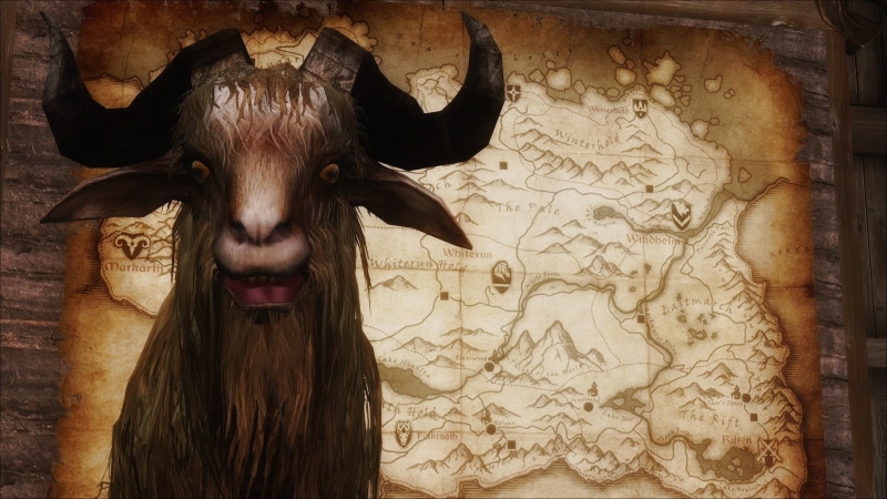 animal, goat, The Elder Scrolls V: Skyrim, mammal, domestic animals, cattle, goats, animal wildlife, one animal, representation, animal themes, domestic