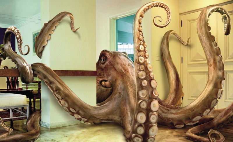 animal themes, Funny, brown, animal, art and craft, illustration, architecture, inside, octopus invasion, creativity, animal head, animal body part, Octopus