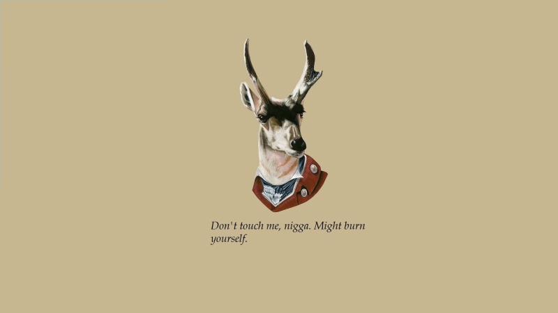 studio shot, communication, text, quote, black, one animal, horned, wall - building feature, 1080P, animal body part, animal wildlife, colored background
