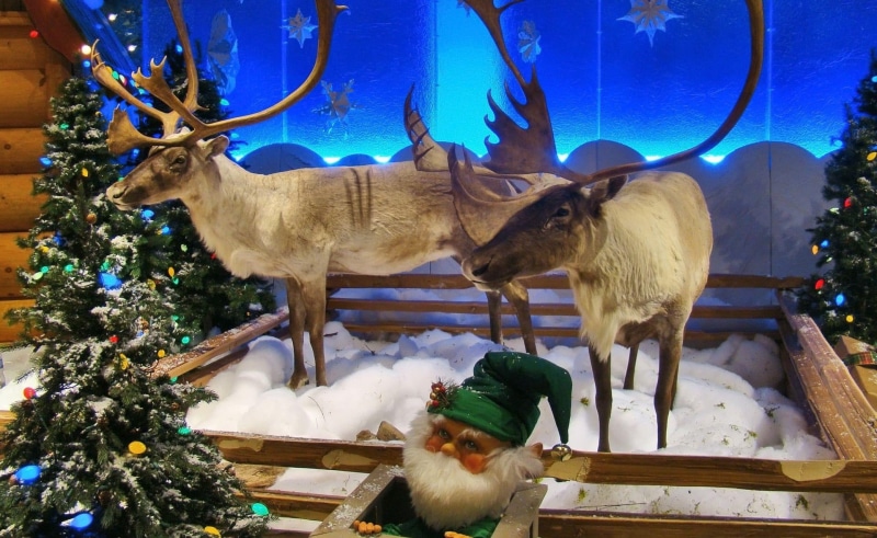 black, tree, animal, antler, 1080P, plant, reindeer, season, holiday, corral, herbivorous, winter, taxidermies, elf, trees, group of animals, animal themes