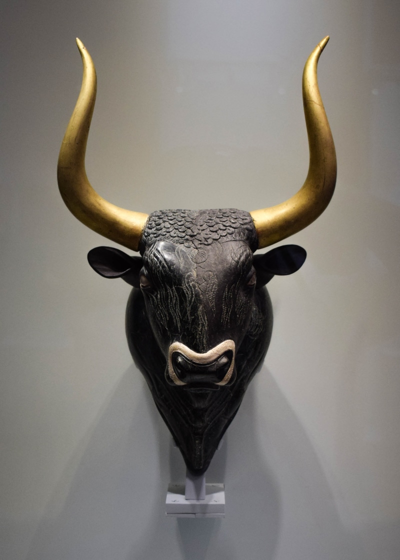horned, animal, mounted, mammal, representation, animal themes, wall - building feature, studio shot, animal representation, animal head, head, animal wildlife