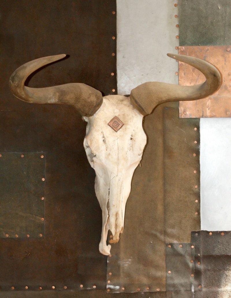bones, deer, no people, skull, one animal, death, cattle, wall - building feature, nature, horns, close-up, west, decoration, southwest, animal skull, teeth
