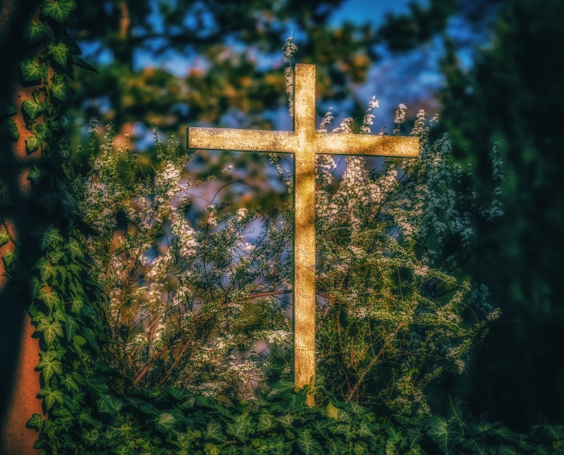 grave, symbol, jesus, cross shape, cross, land, christianity, field, god, religion, tranquility, nature, outdoors, light, day, pray, tree, crucifix, mental