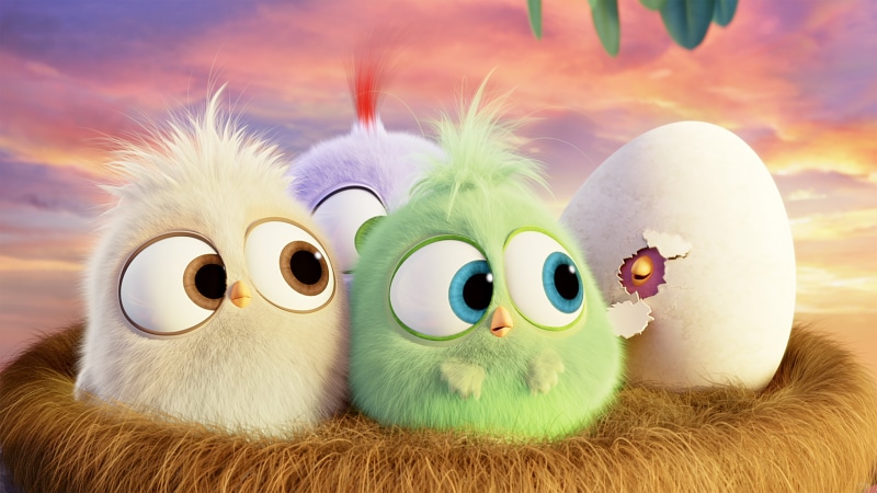 birds, bird, representation, softness, angry birds, close-up, multi colored, no people, plant, art and craft, 4K, animal representation, 2016 movies, toy