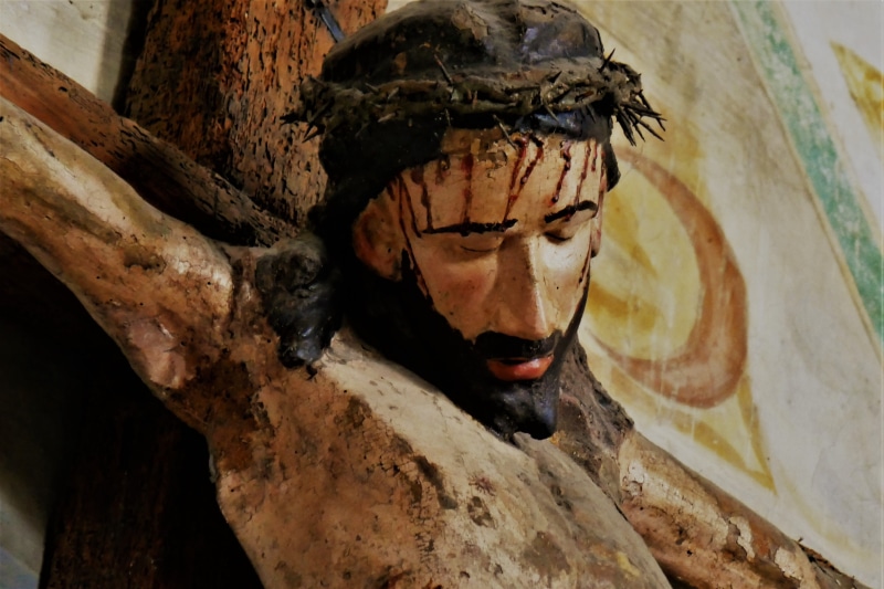 church, focus on foreground, catholic, christ, Jesus Christ, face, outdoors, died, one animal, tree, torture tool, statue, religion, no people, nature