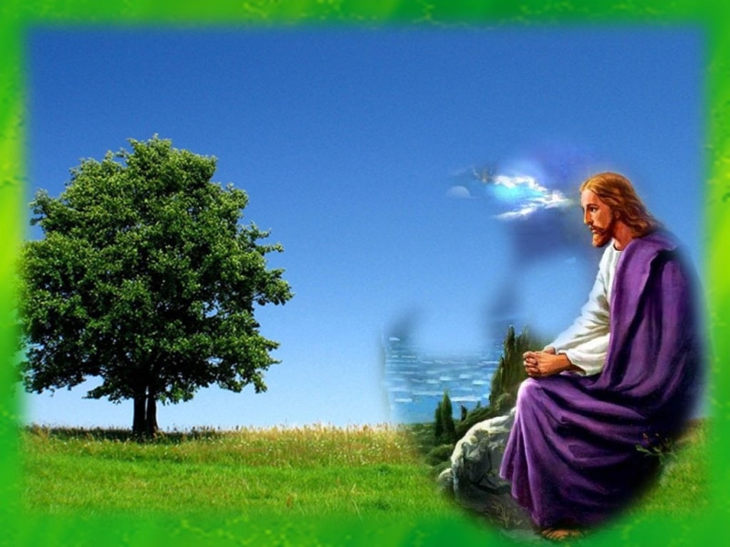 christianity, art, God, lord, jesus, religion, 480P, christ, grass, hd, people, Jesus Christ