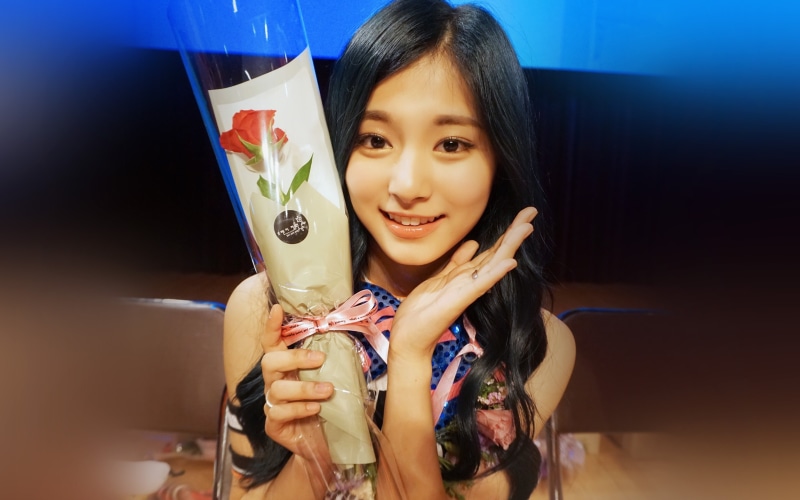 emotion, smiling, twice, women, one person, tzuyu, holding, kpop, headshot, girl, fan, indoors, front view, looking at camera, long hair, child, happiness