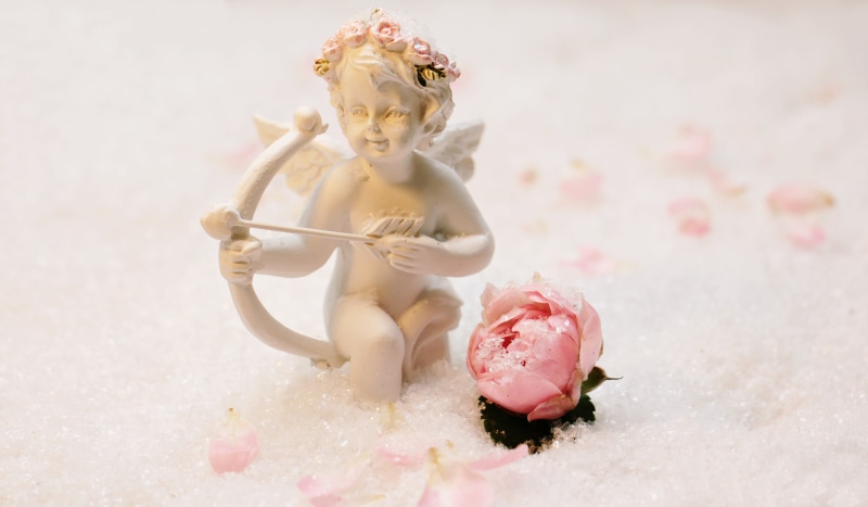 no people, food, affection, sweet, love oath, food and drink, romantic, studio shot, tender, close-up, snow, background image, bud, figure, greeting card