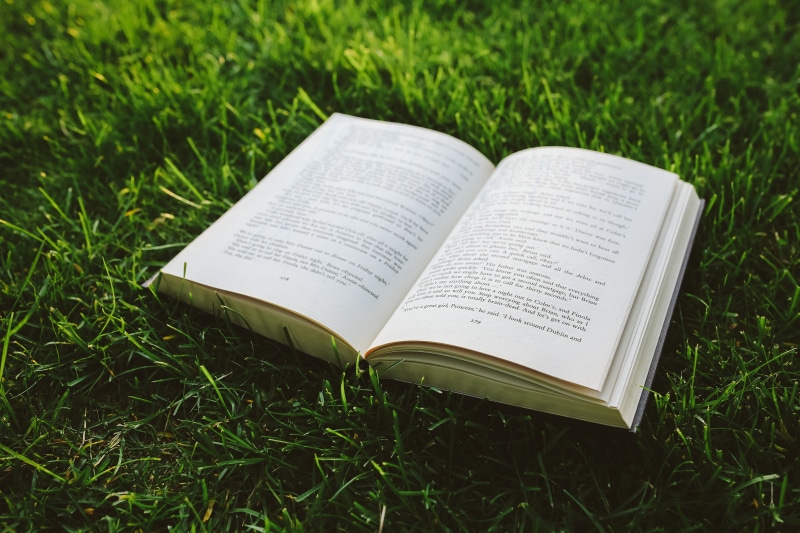 land, close-up, reading, literature, open, communication, no people, field, paper, text, day, spirituality, still life, christianity, writing, high angle view