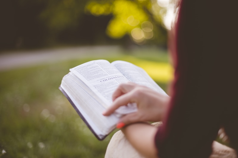 church, christian, education, sitting, paper, learning, close-up, hand, focus, god, one person, book, girl, 5K, woman, leisure activity, activity, park - man made space