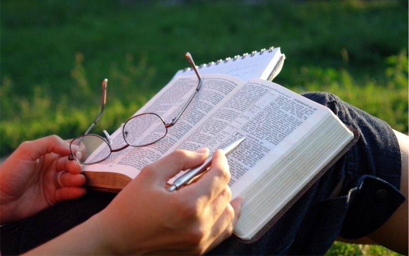 studying, leisure activity, outdoors, day, publication, grass, reading, Studying the Bible, real people, human hand, education, plant, focus on foreground