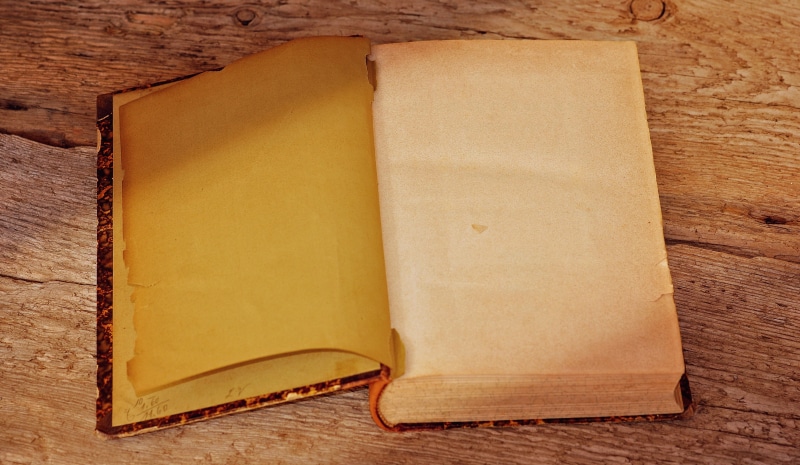 communication, still life, document, food and drink, copy space, book pages, text dom, book, old, high angle view, no people, close-up, backgrounds, wood - Material