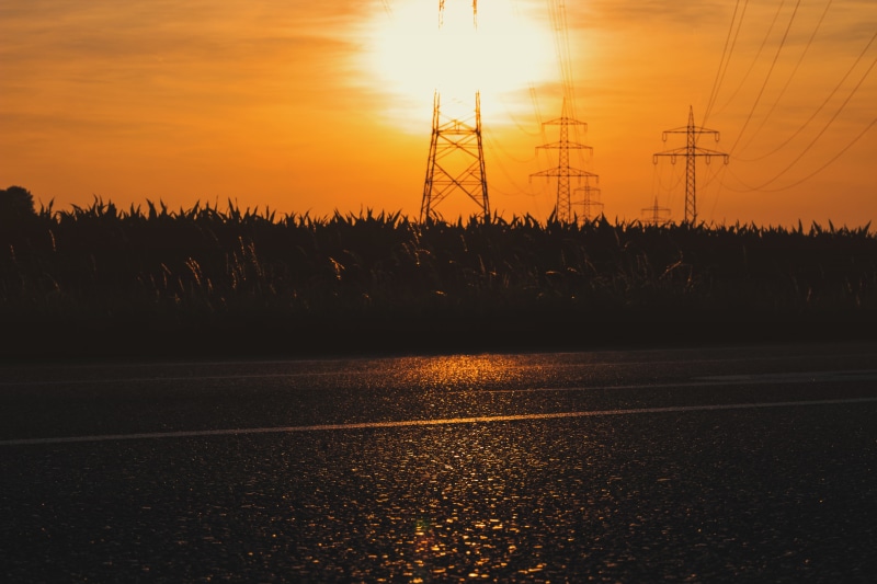 nature, utility pole, trees, grass, 5K, sunset