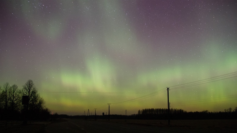 aurora polaris, stars, sky, environment, plant, idyllic, scenics - nature, astronomy, night, tree, dramatic sky, utility pole, green color, tranquility
