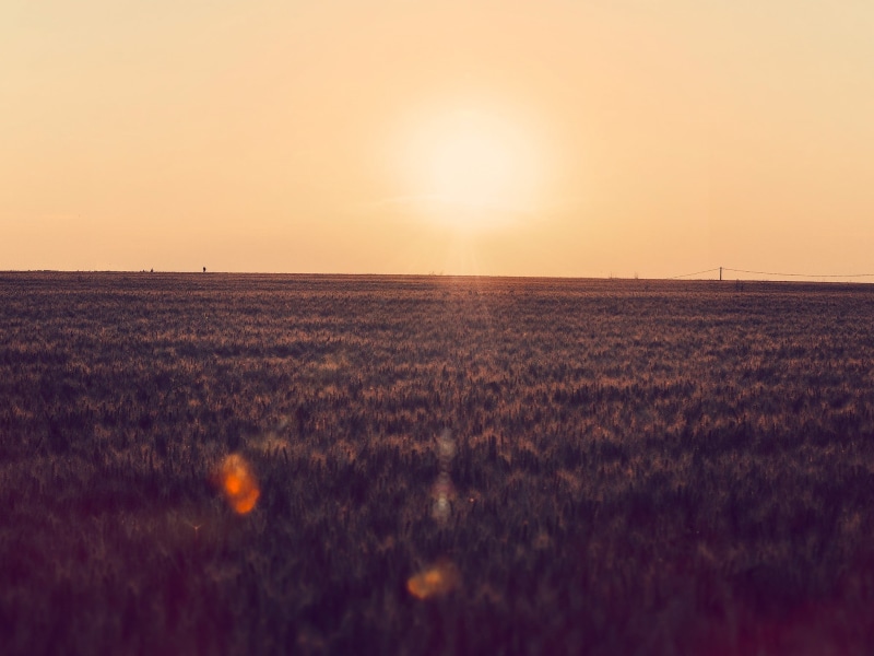 sky, beauty in nature, clear sky, farm, no people, land, horizon, field, 1080P, photography, rural scene, sunset, environment, sunlight, landscape, scenics - nature