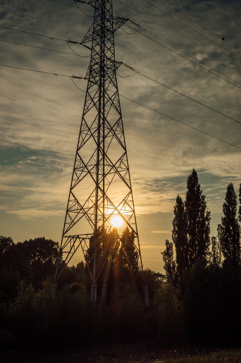 tree, sunlight, telephone line, moody, outdoors, dawn, electricity pylon, urban, connection, electricity, low angle view, ghosttown, utility pole, sunset