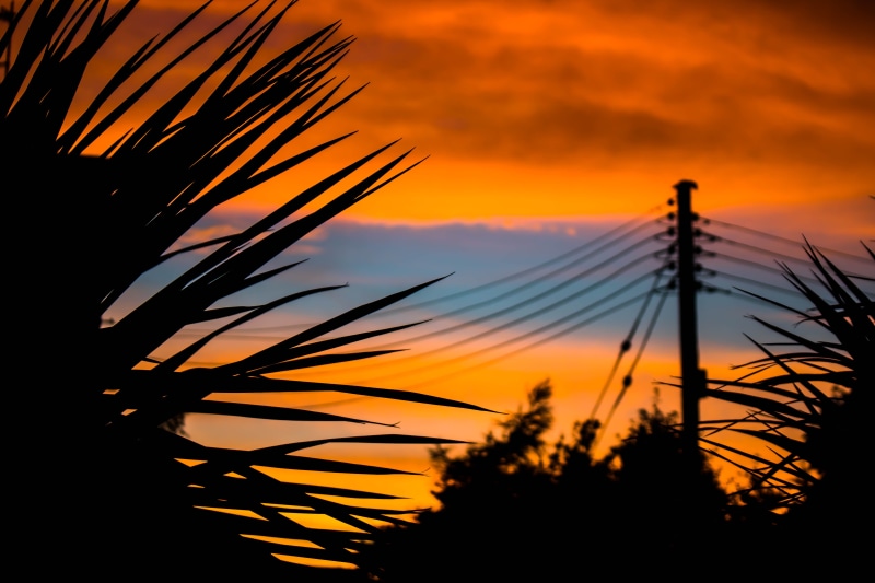 dramatic sky, landscape, golden, beauty in nature, palm tree, line, utility pole, dusk, red sky, dawn, outdoors, low angle view, tranquil scene, silhouette