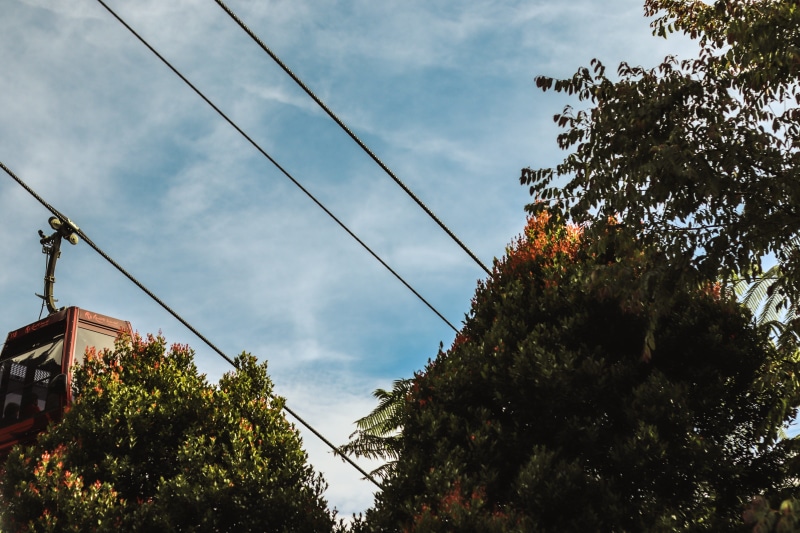 power supply, built structure, outdoors, white, painting, garden, steeple, plant, branch, cable, tower, power line, day, building exterior, utility pole