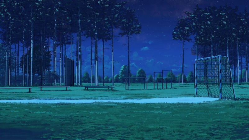 ArseniXC, land, plant, park, beauty in nature, tranquility, cold temperature, no people, 1080P, outdoors, field, grass, tree, nature, winter, green, night
