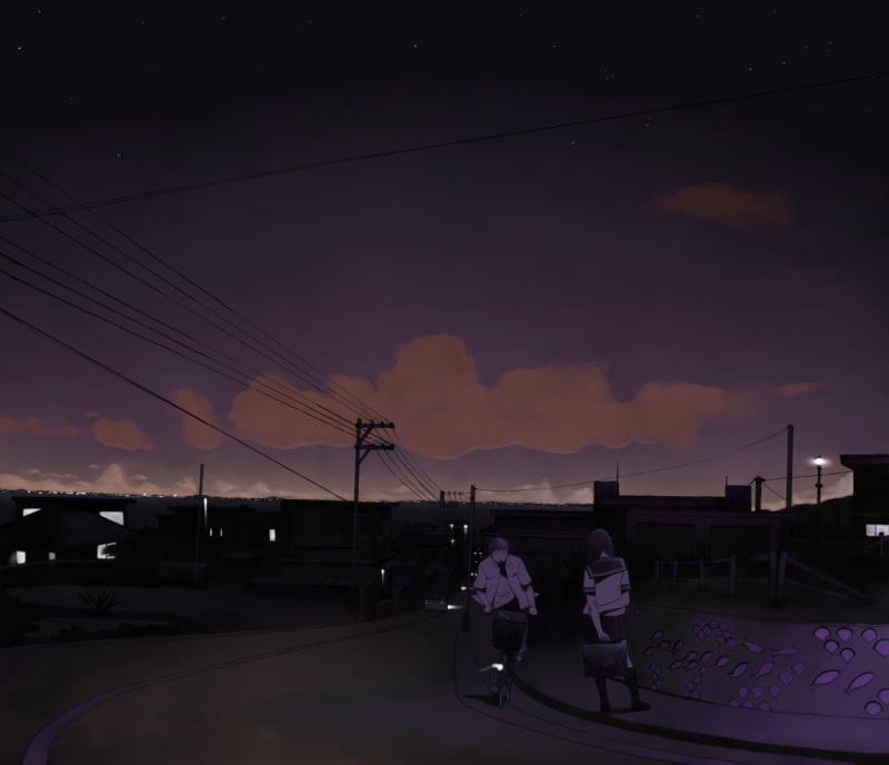 utility pole, 480P, students, road, power lines, night