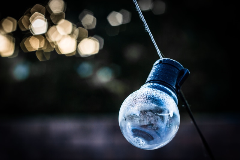 low angle view, close-up, single object, photo, background, foggy, morning, illuminated, focus on foreground, indoors, bokeh, closeup, black background