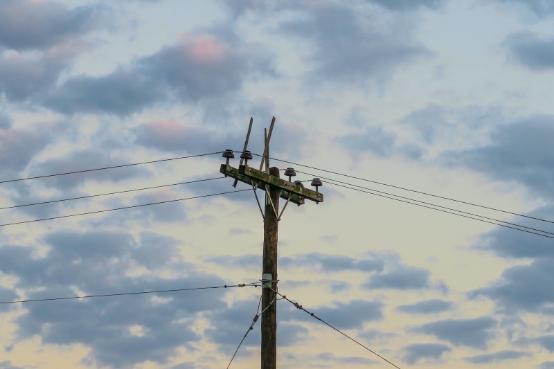 animal themes, 5K, low angle view, technology, fuel and power generation, animals in the wild, nature, electrical equipment, blue, cloud, sky, electricity