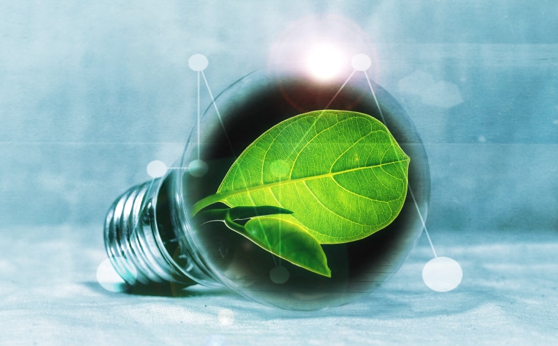 electric light, plant part, plant, green, light, energy saving, pear, light bulb, sphere, creativity, studio shot, colored background, metal, close-up