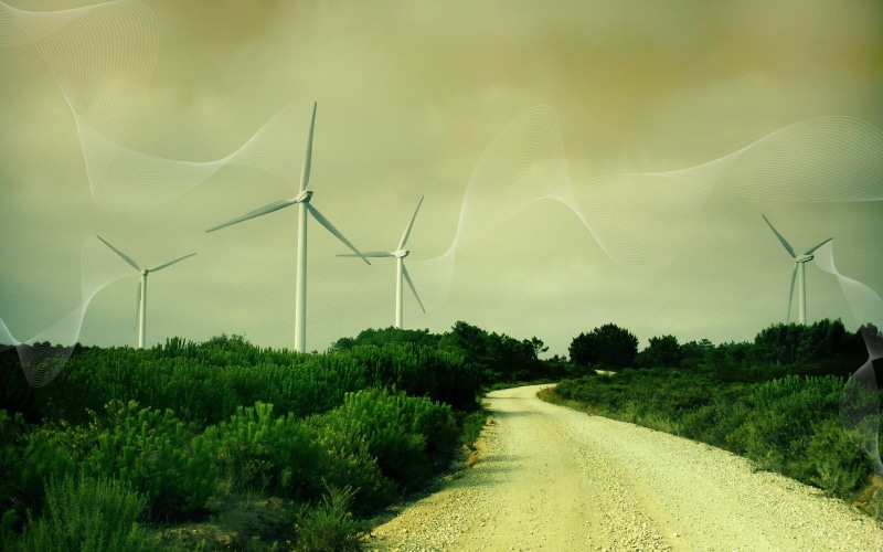 day, nature, wind farm, white, 1080P, windmill, the way forward, beauty in nature, sustainable resources, road, wind power, branch, renewable energy, turbine