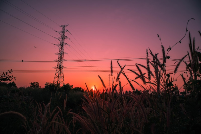 sky, line, power supply, beauty in nature, no people, beautiful, outdoors, telephone line, wire, technology, plant, scenics - nature, silhouette, growth