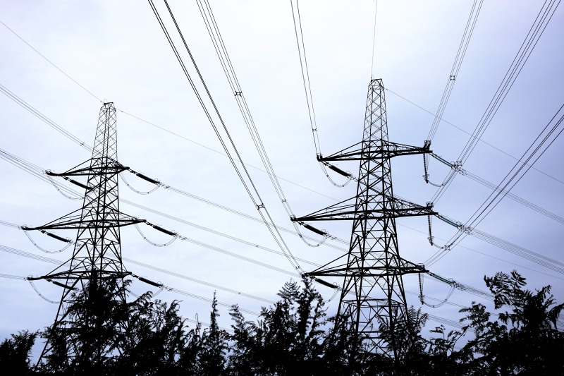 low angle view, foliage, network, construction, grid, electrical grid, technology, nature, power, girder, cloud - sky, architecture, electricity pylon