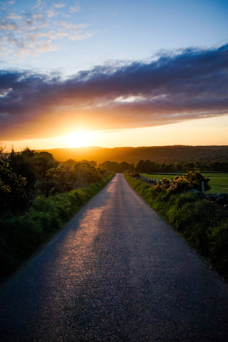 plant, travel, scenics - nature, dusk, golden, sunlight, outdoors, nature, tranquility, direction, dirt road, scottish, transportation, gravel, concrete
